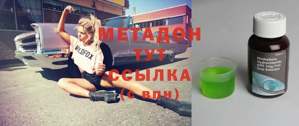 прущие грибы Медвежьегорск