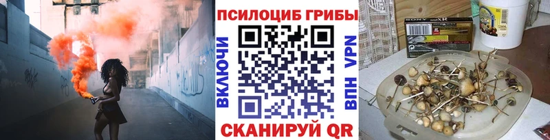 omg ССЫЛКА  где купить наркоту  Лобня  Псилоцибиновые грибы мицелий 