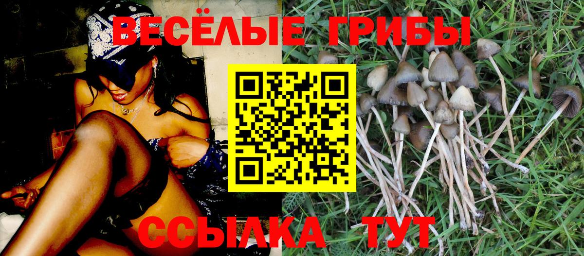 Лобня  Псилоцибиновые грибы мухоморы  Вход с VPN 